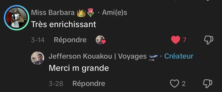 Avis de la communauté TikTok